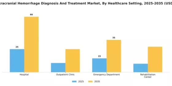 China Intracranial Hemmorhage Diagnosis Treatment Market Segment Image 1