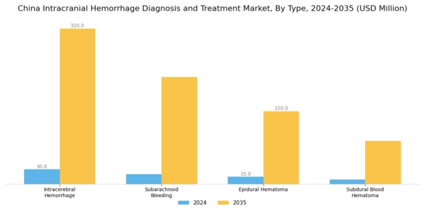 China Intracranial Hemmorhage Diagnosis Treatment Market Segment Image 0