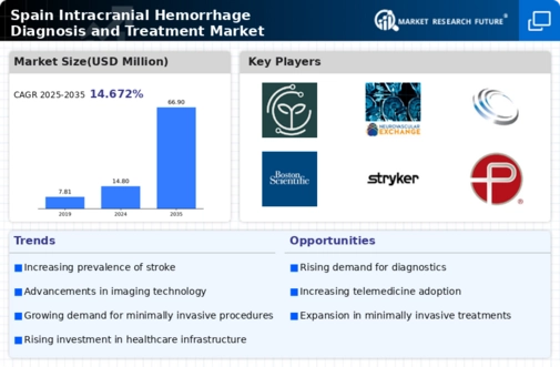 Spain Intracranial Hemmorhage Diagnosis Treatment Market Infographic