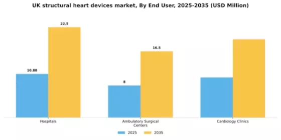 UK Structural Heart Devices Market Segment Image 0