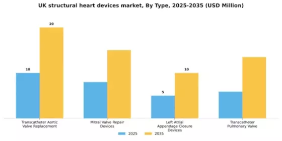 UK Structural Heart Devices Market Segment Image 3