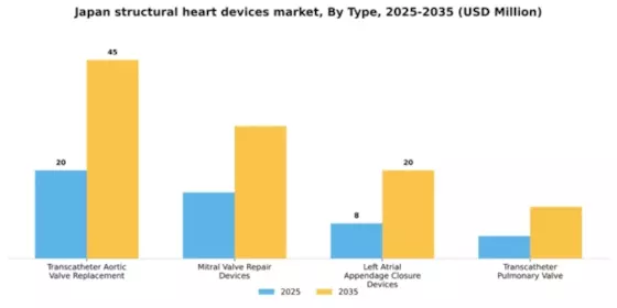 Japan Structural Heart Devices Market Segment Image 3