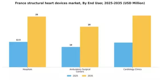 France Structural Heart Devices Market Segment Image 0