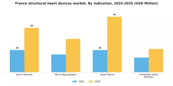France Structural Heart Devices Market Segment Image 1