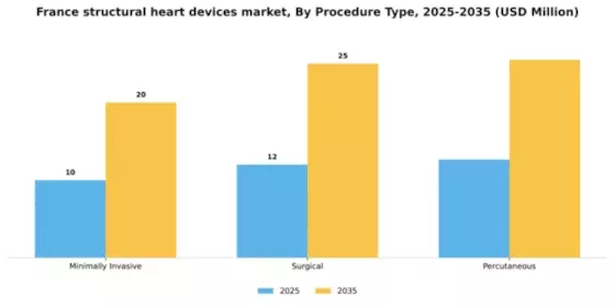 France Structural Heart Devices Market Segment Image 2