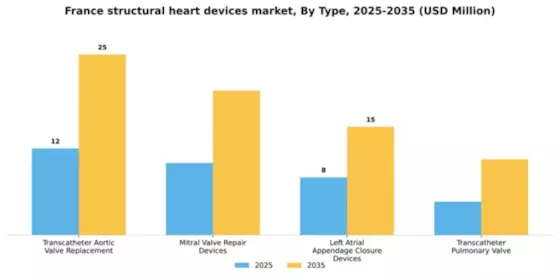 France Structural Heart Devices Market Segment Image 3