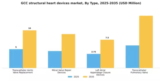 GCC Structural Heart Devices Market Segment Image 3