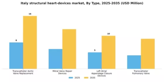 Italy Structural Heart Devices Market Segment Image 3