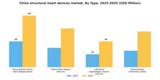 China Structural Heart Devices Market Segment Image 3