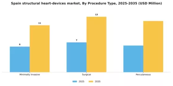 Spain Structural Heart Devices Market Segment Image 2