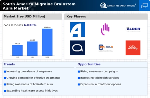 South America Migraine Brainstem Aura Market Infographic
