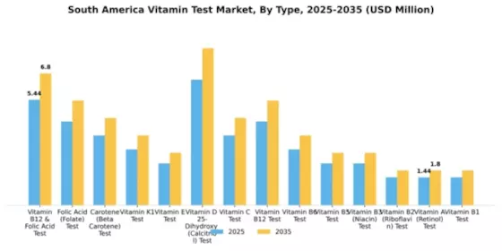 South America Vitamin Test Market Segment Image 2