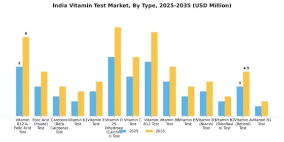 India Vitamin Test Market Segment Image 2