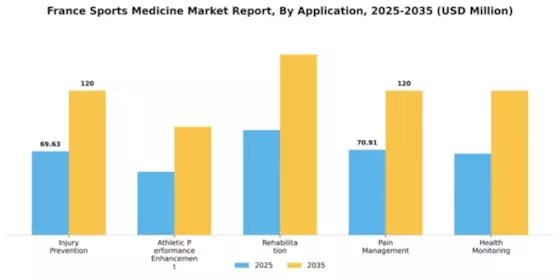 France Sports Medicine Market Segment Image 0