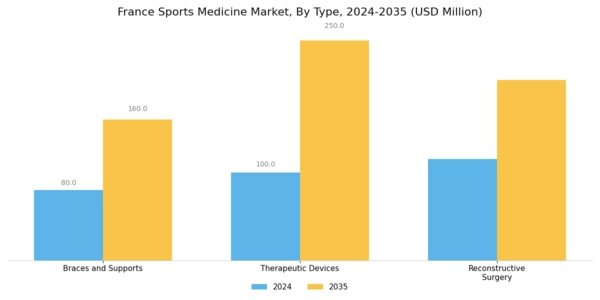 France Sports Medicine Market Segment Image 0