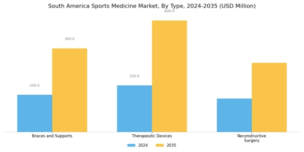 South America Sports Medicine Market Segment Image 0