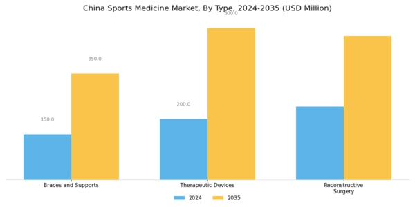 China Sports Medicine Market Segment Image 0