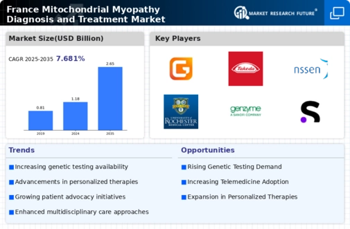 France Mitochondrial Myopathy Diagnosis Treatment Market Infographic