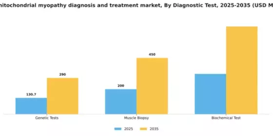 GCC Mitochondrial Myopathy Diagnosis Treatment Market Segment Image 0