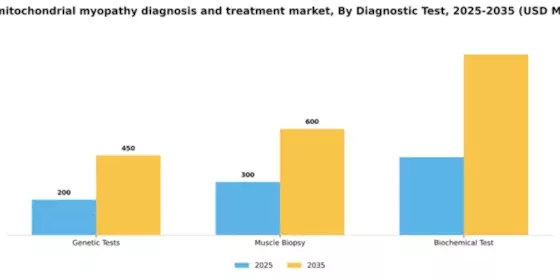 Italy Mitochondrial Myopathy Diagnosis Treatment Market Segment Image 0