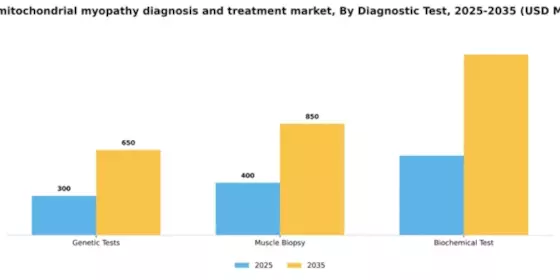 India Mitochondrial Myopathy Diagnosis Treatment Market Segment Image 0