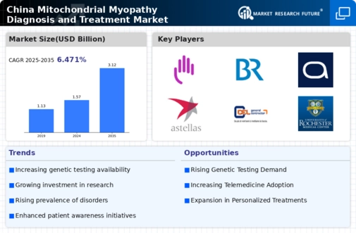 China Mitochondrial Myopathy Diagnosis Treatment Market Infographic