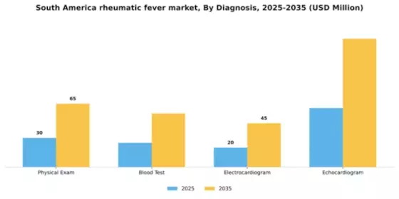 South America Rheumatic Fever Market Segment Image 0
