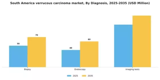 South America Verrucous Carcinoma Market Segment Image 0