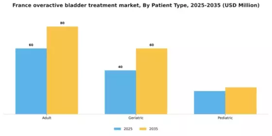 France Overactive Bladder Treatment Market Segment Image 1