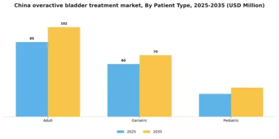 China Overactive Bladder Treatment Market Segment Image 1