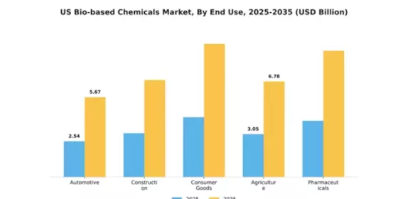 Bio-Based Chemicals Market Segment Image 1