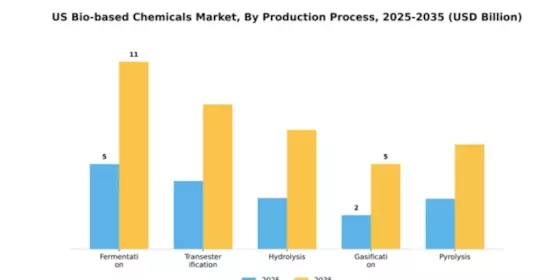 Bio-Based Chemicals Market Segment Image 2