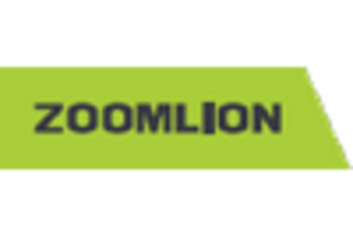 Brazil Tower Crane Market key player