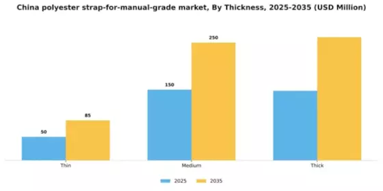 China Polyester Strap for Manual Grade Market Segment Image 2