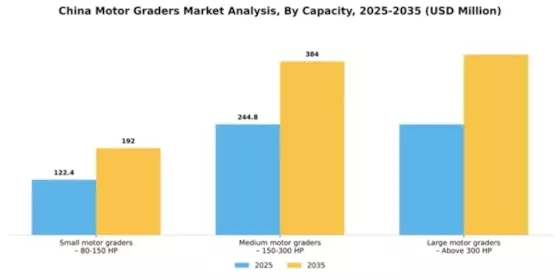 China Motor Graders Market Segment Image 1