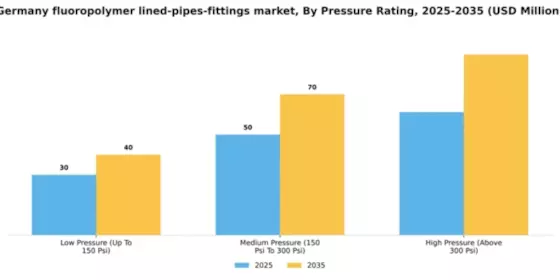Germany Fluoropolymer Lined Pipes Fittings Market Segment Image 3