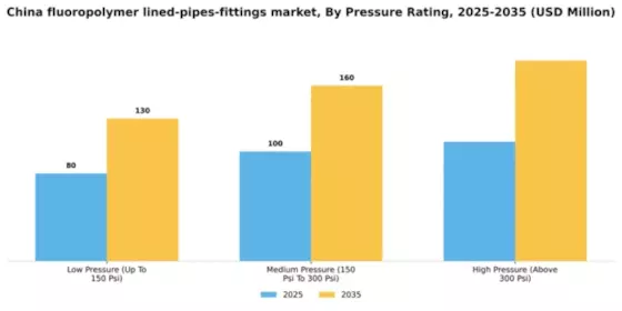 China Fluoropolymer Lined Pipes Fittings Market Segment Image 3