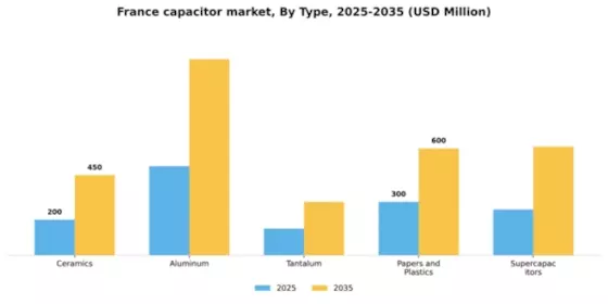 France Capacitor Market Segment Image 1