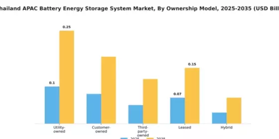 Thailand APAC Battery Energy Storage System Market Segment Image 2