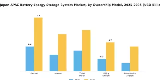 Japan APAC Battery Energy Storage System Market Segment Image 3