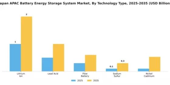 Japan APAC Battery Energy Storage System Market Segment Image 4