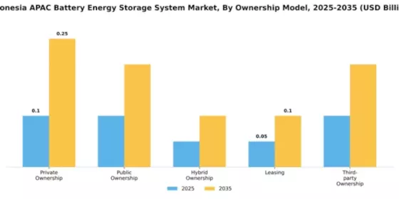 Indonesia APAC Battery Energy Storage System Market Segment Image 2