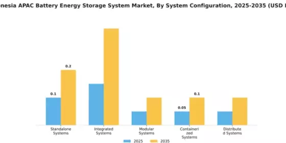 Indonesia APAC Battery Energy Storage System Market Segment Image 3