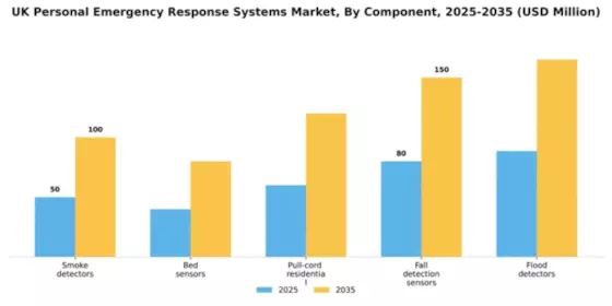 UK Personal Emergency Response Systems Market Segment Image 0