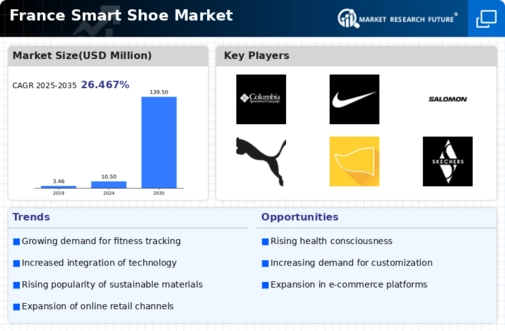 France Smart Shoe Market Infographic