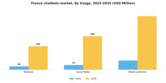 France Chatbots Market Segment Image 2