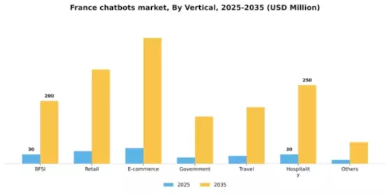 France Chatbots Market Segment Image 3