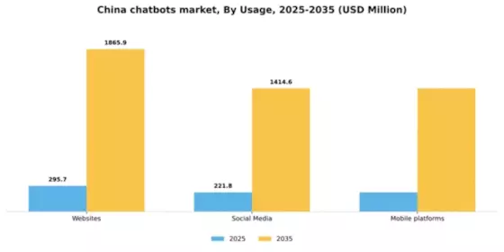 China Chatbots Market Segment Image 2
