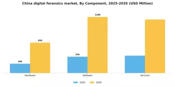 China Digital Forensics Market Segment Image 1