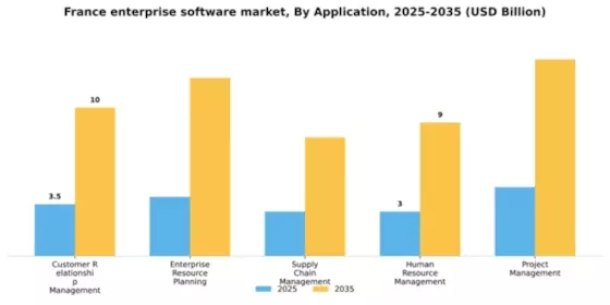 France Enterprise Software Market Segment Image 0
